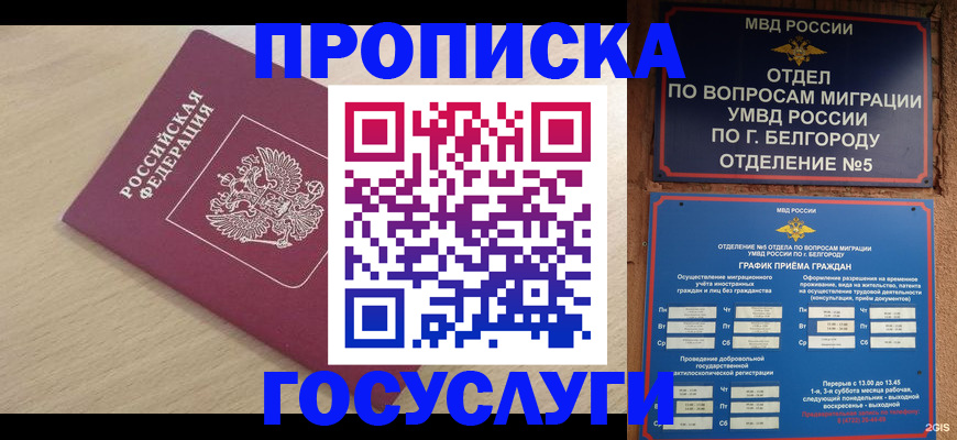 прописка законно в Плавске